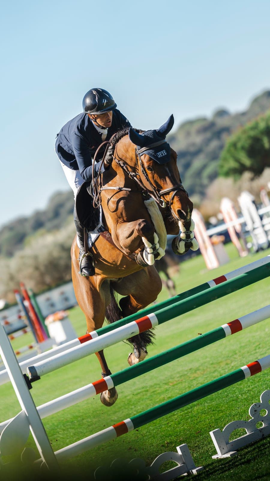 Varios caballos